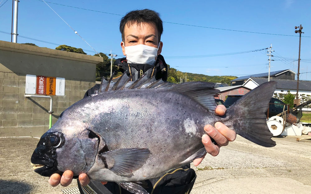 イシダイ釣果