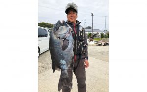 底物イシダイ釣果