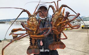 イセエビ・オナガ・イシダイ釣果