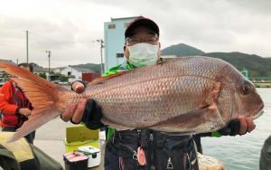 秋磯、本格始動！良型クロ釣果