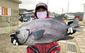 秋磯、本格始動！良型クロ釣果