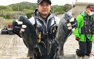 秋磯、本格始動！良型クロ釣果