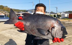 初釣り、良型続出（クロ・イシダイ）釣果