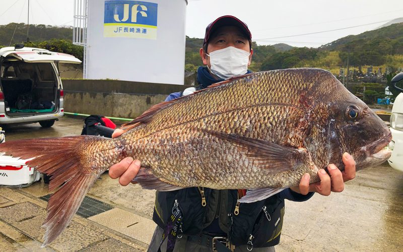 真鯛・石鯛釣果