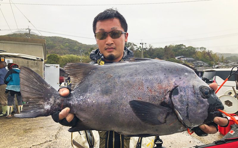 真鯛・石鯛釣果