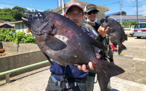 アラ・石鯛・真鯛釣果