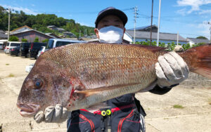 アラ・石鯛・真鯛釣果