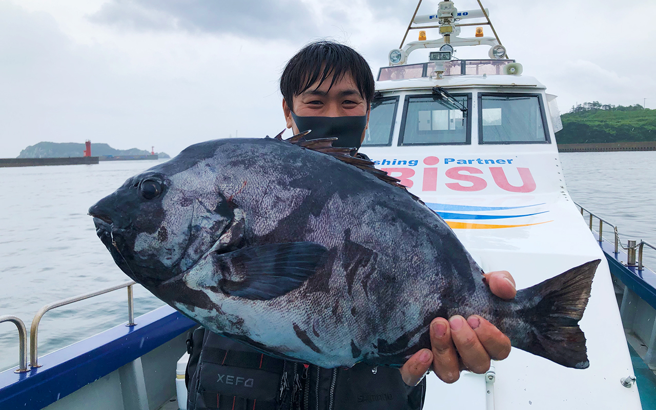 底物良型イシダイ釣果