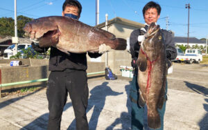 秋磯開幕！アラ・イシダイ底物釣果！