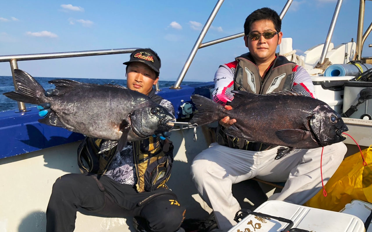 良型イシダイ底物釣果