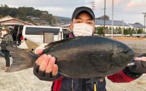 初釣り、底物・上物釣果