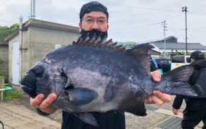 底物、イシダイ釣果！