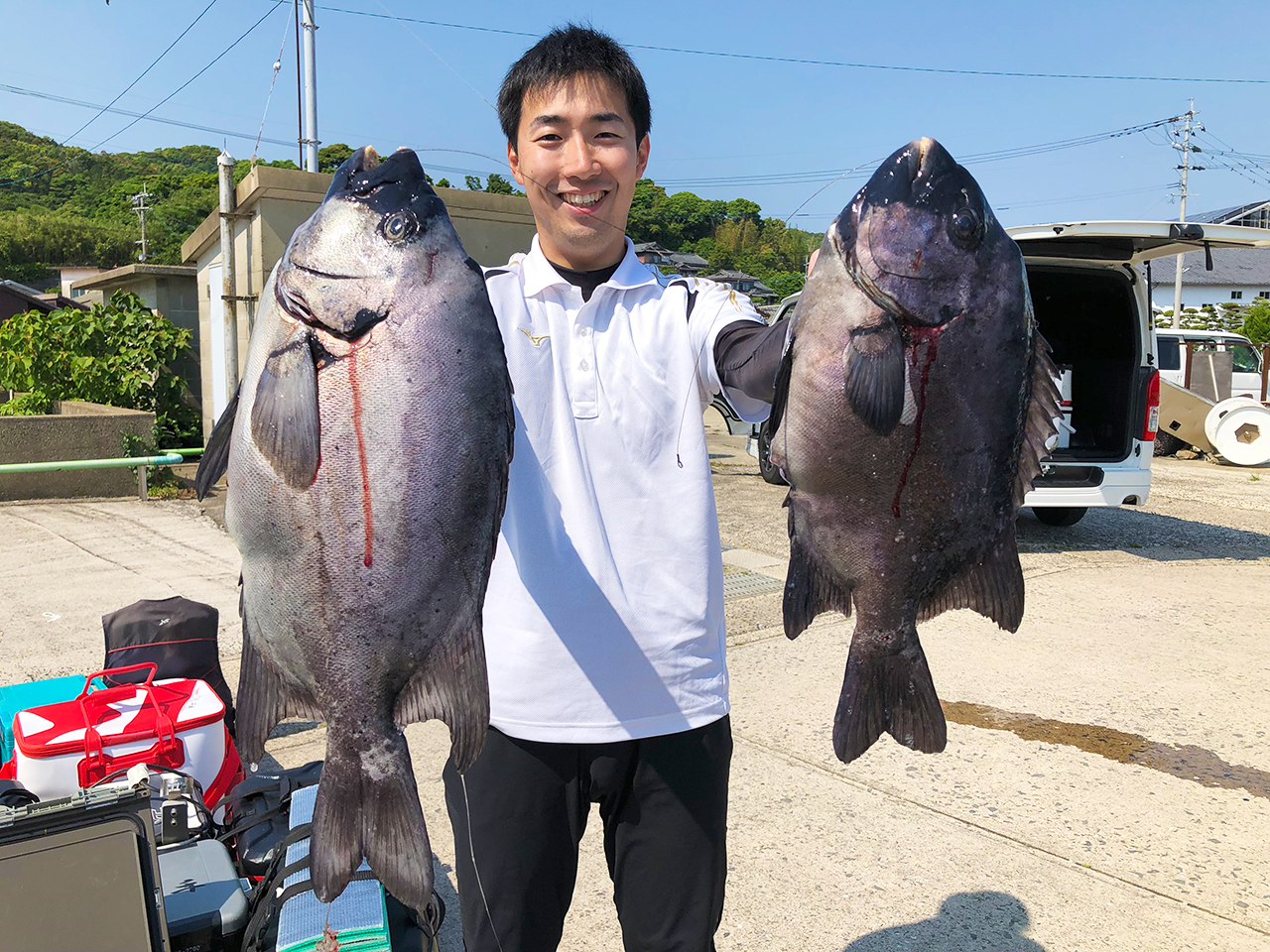 底物イシダイ釣果