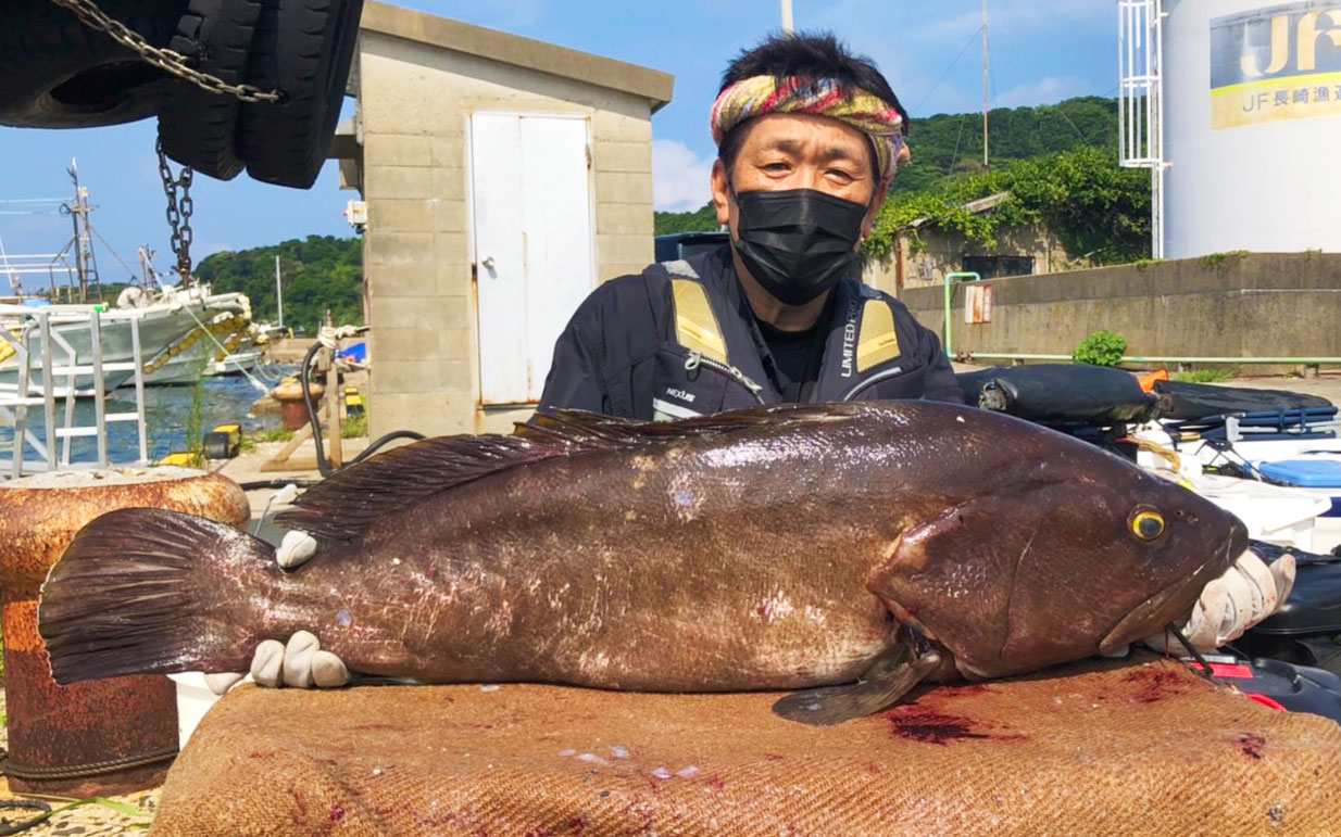 真夏の巨大アラ捕獲！