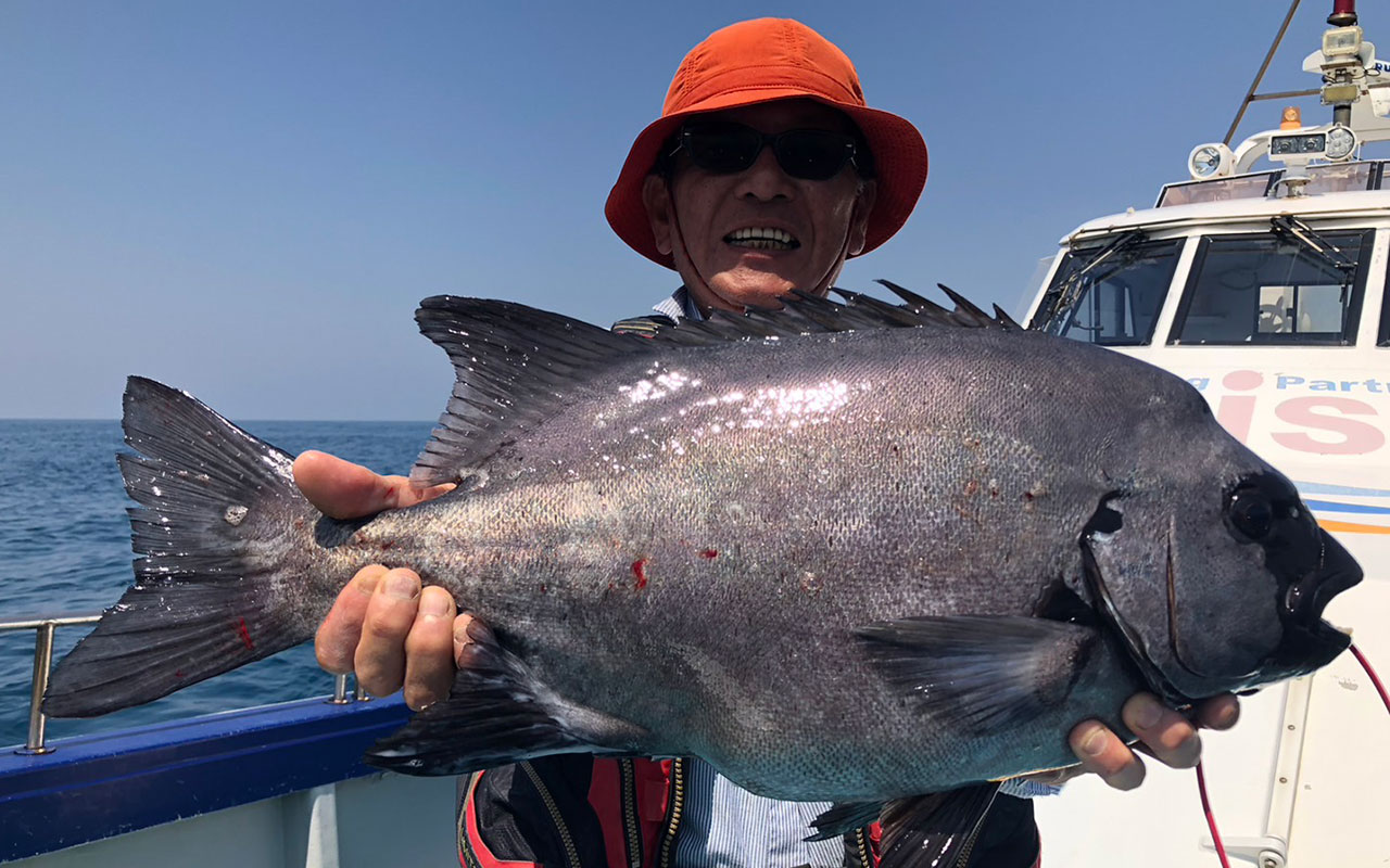 イシダイ好釣果